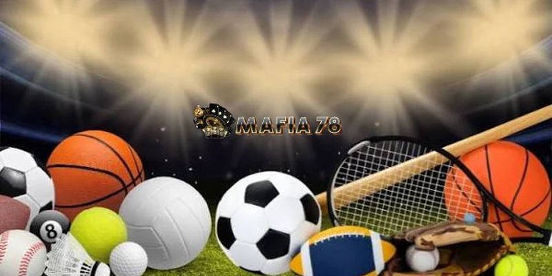 sports-image-2-800x400-1.webp