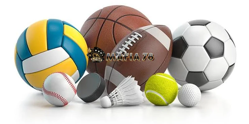 sports-image-3-800x400-1.webp